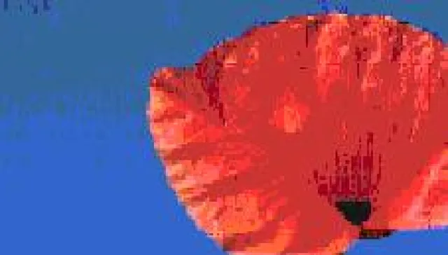 Ein Wintergarten liefert mehr Licht für ein gesundes Leben Bild: Ein Wintergarten liefert mehr Licht für ein gesundes Leben