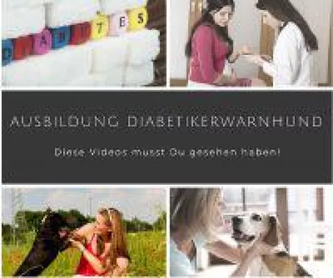 Bild: Wie rettet ein Diabetikerwarnhund Menschenleben?