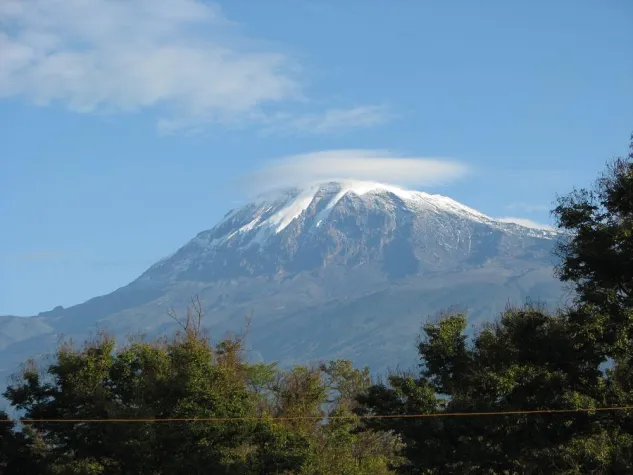 Bild: Schnörkellose Webseite