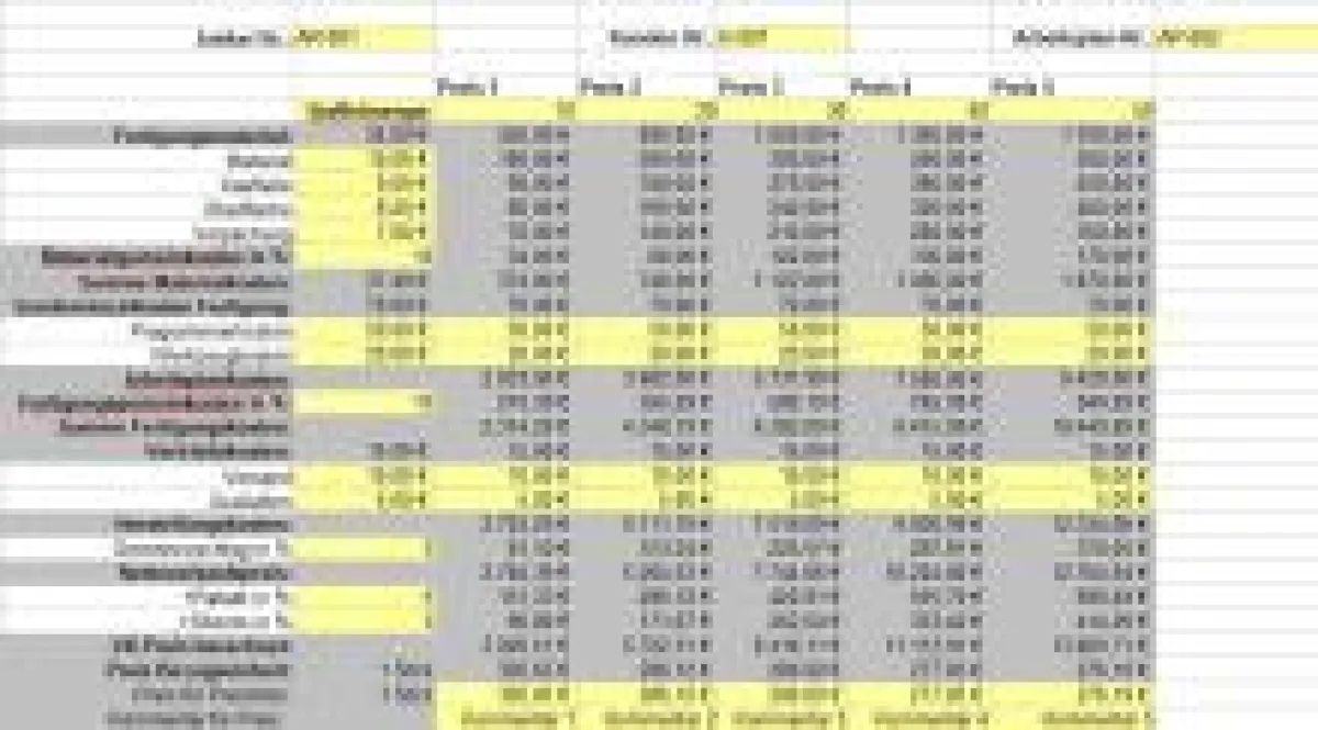 Screenshot Vorkalkulation