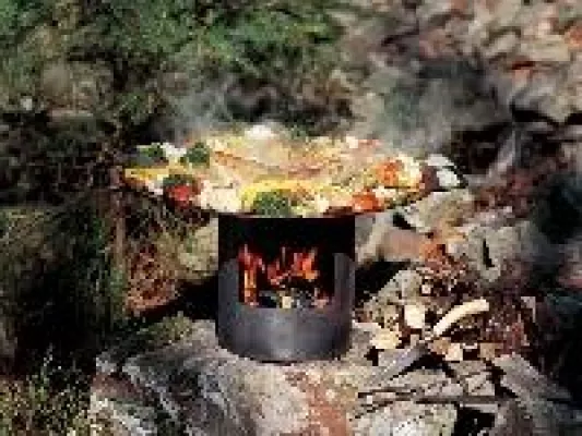 Bild: Gesünder Grillen ohne Holzkohle