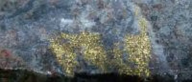 Bild: Gold ist Geld - und sollte nicht gegessen werden