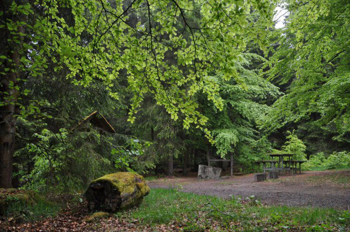 Die Eder-Quelle im Siegerland