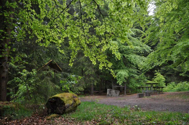 Bild: Mit GPS über den Ederhöhenweg vom Siegerland nach Kassel