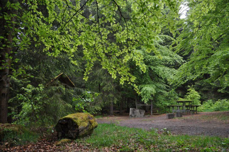 Mit GPS über den Ederhöhenweg vom Siegerland nach Kassel Bild: Mit GPS über den Ederhöhenweg vom Siegerland nach Kassel