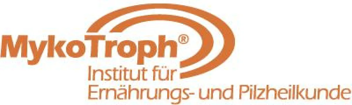 Der Kalender von Slopinsky 2013