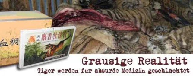 Bild: Werden deutsche Zootiere für Chinas Potenz geschlachtet?