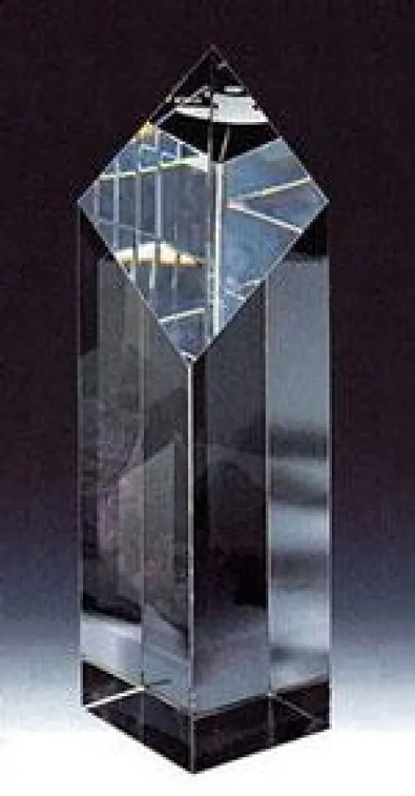 Die Auszeichnungen Innovation Award und Newcomer Award werden an der Internationalen GSA Convention 2009 in Mannheim vergeben