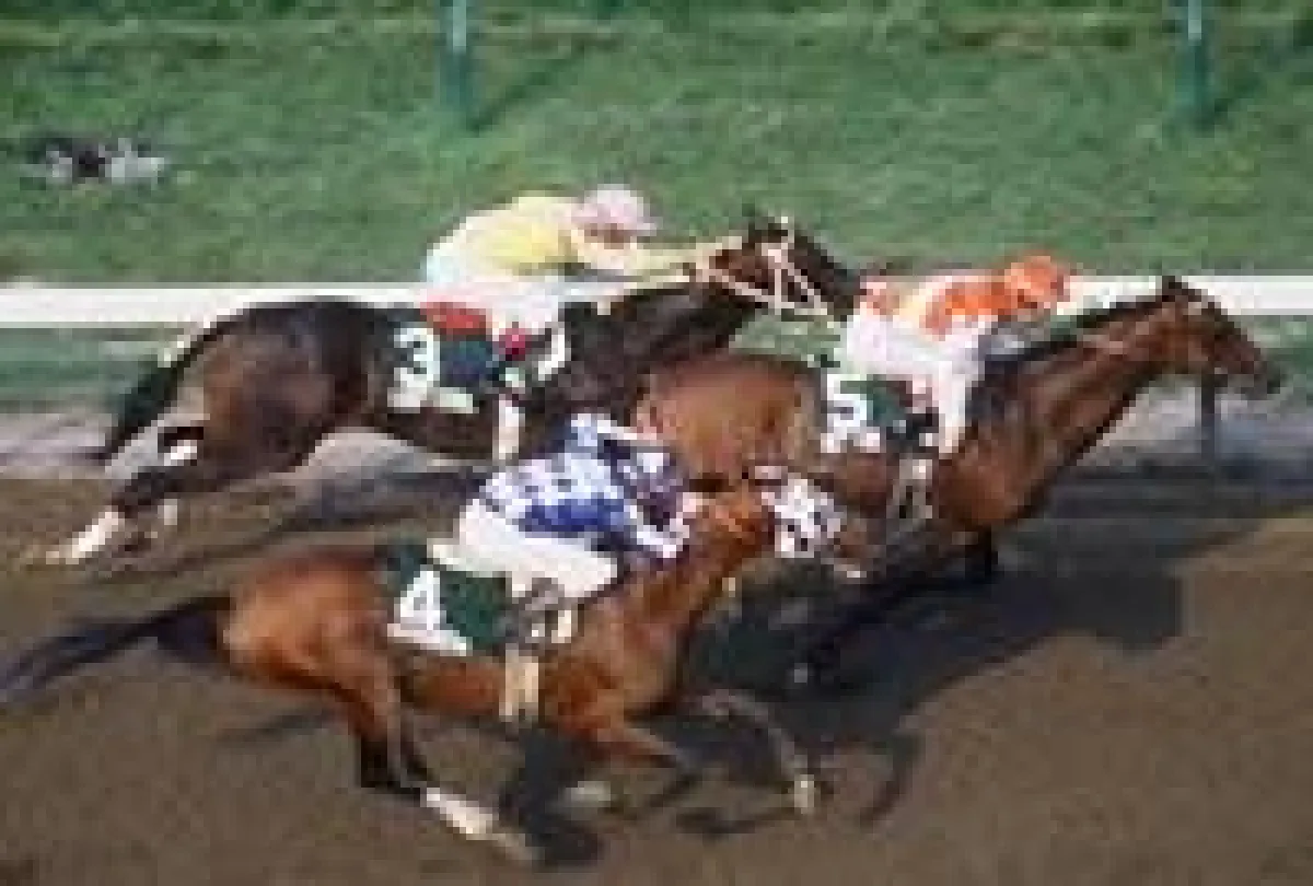 Comeback von Big Brown auf www.magnabet.com