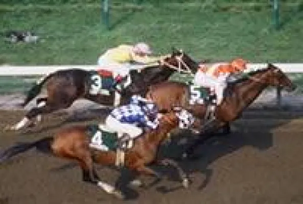 Bild: 1 Millionen Dollar Comeback von Big Brown