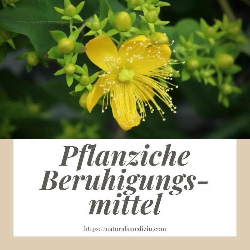 naturalsmedizin.com - der Blog für Naturheilkunde