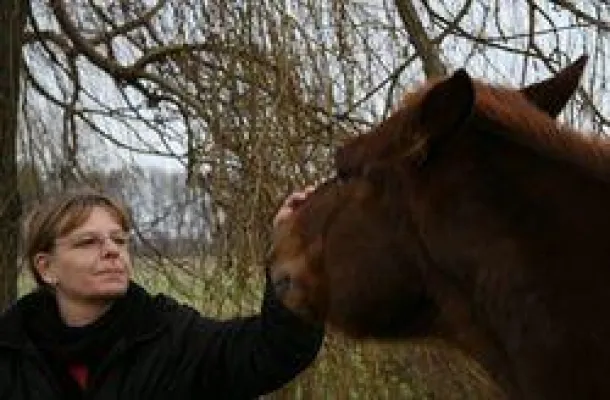 Spezielle ethologische Beratungsdienstleistung für gewerbliche und private Pferdehaltungen Bild: Spezielle ethologische Beratungsdienstleistung für gewerbliche und private Pferdehaltungen