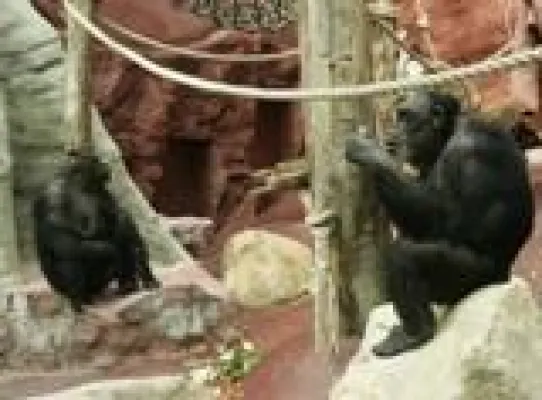 Bild: Ungewöhnlicher Einsatz für kompakte Linearantriebe