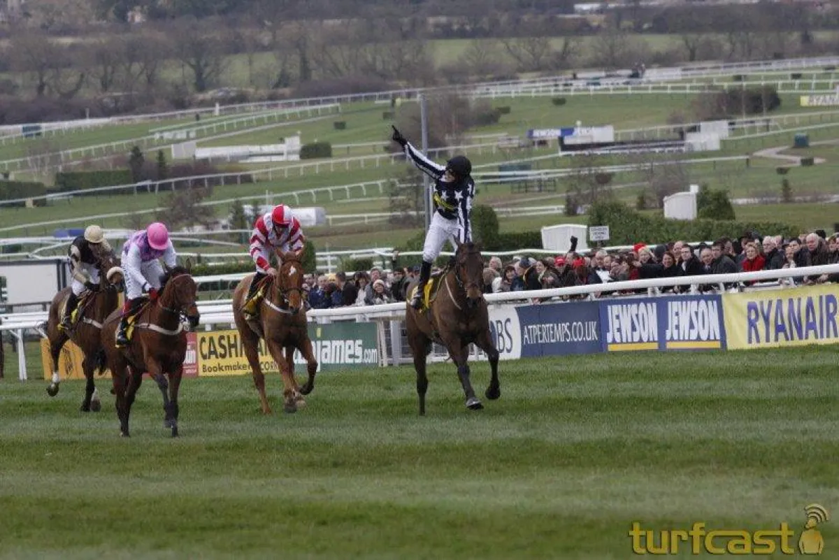 Cheltenham war ein großer Erfolg - Jetzt wird Aintree live auf equi8 übertragen