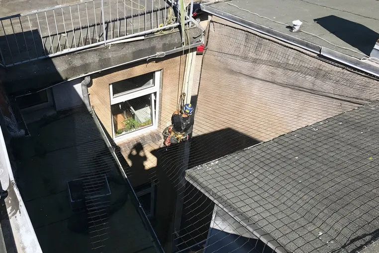 Industrie Kletterer Hamburg unterstützen Hausverwaltungen bei der Taubenabwehr Bild: Industrie Kletterer Hamburg unterstützen Hausverwaltungen bei der Taubenabwehr