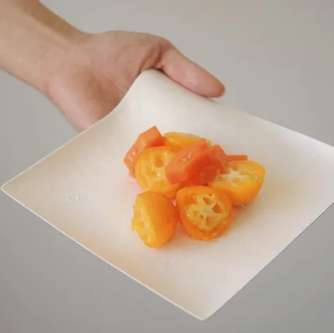 Bild: Hier deckt die Natur den Tisch - Einweggeschirr kompostierbar