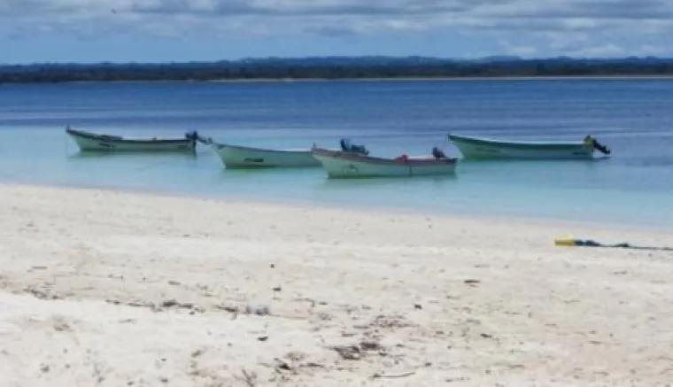 Panama-Kombinationen Bild: Panama-Kombinationen