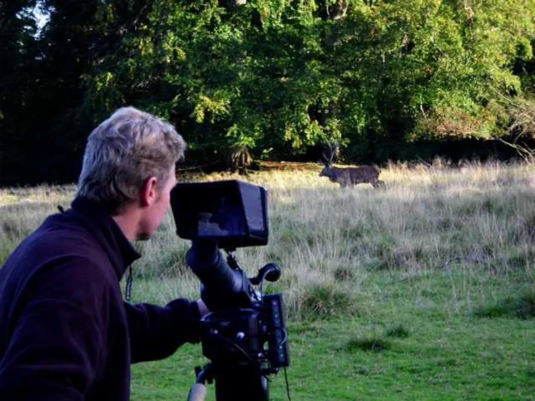 Tierfilmer/Naturfilmer Jens Klingebiel