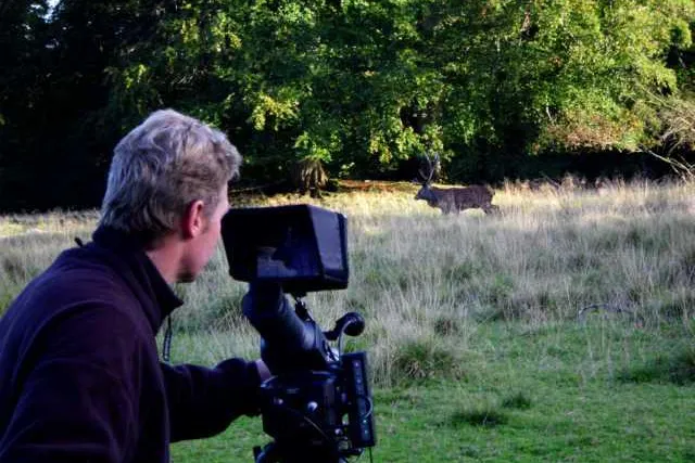Bild: Wildlife Stock Footage von Tierfilmer Jens Klingebiel