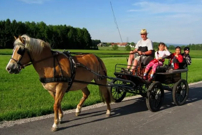Naturnaher Urlaub mit Homelidays.com - Natur pur beim Reiten, Wandern oder Fischen Bild: Naturnaher Urlaub mit Homelidays.com - Natur pur beim Reiten, Wandern oder Fischen