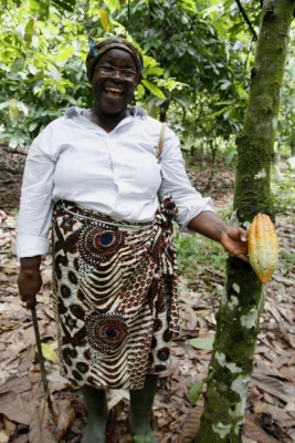 Weltkakaokonferenz in Berlin: Forum Nachhaltiger Kakao Impulsgeber und Bündnispartner für nachhaltigen Kakao Bild: Weltkakaokonferenz in Berlin: Forum Nachhaltiger Kakao Impulsgeber und Bündnispartner für nachhaltigen Kakao