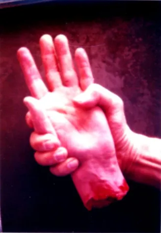 Bild: Anna und Bernhard Blume - DAS GLÜCK IST OHNE PARDON