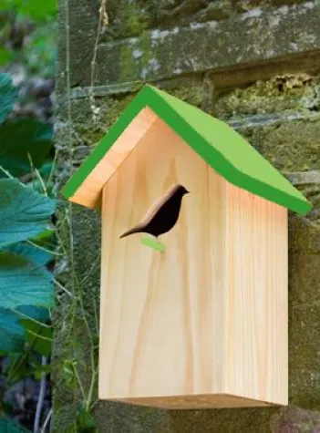 Bild: Der Garten im Frühling