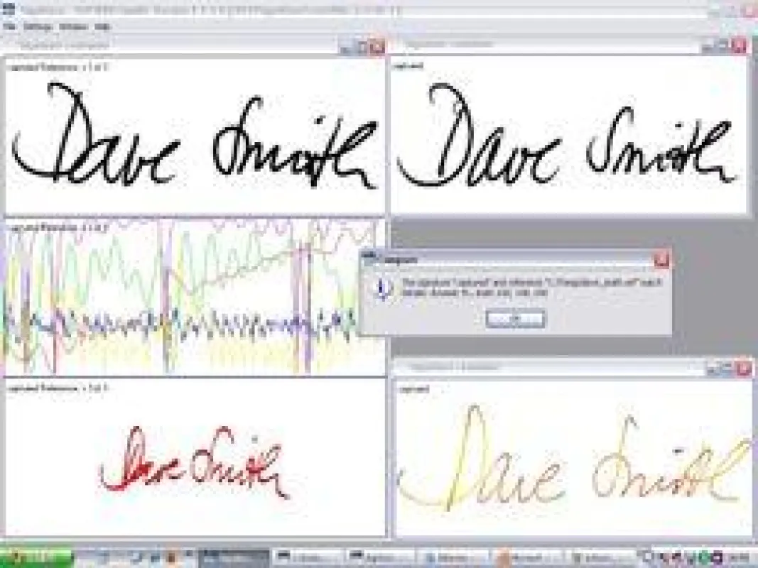 Vergleich statischer Merkmale und dynamischer Signale eigenhändiger Unterschriften mit Softpros Analyseinstrument für Schriftsachverständige 