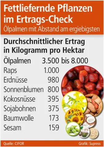 Bild: Fettliefernde Pflanzen im Ertrags-Check