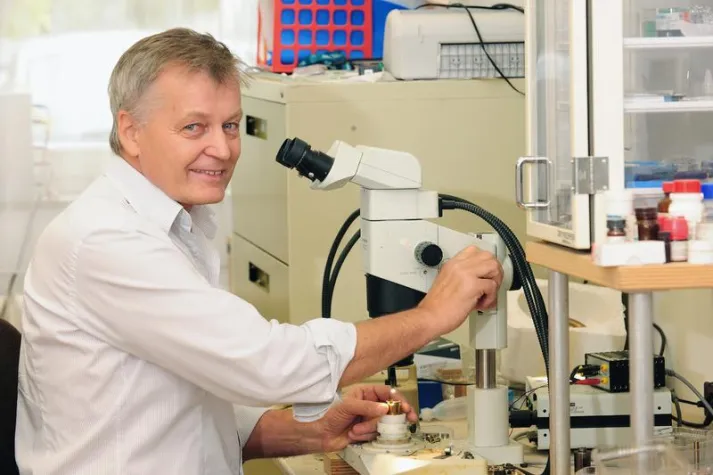 Bild: With relentless pressure towards superconductivity: Award for Max Planck scientist and new insights