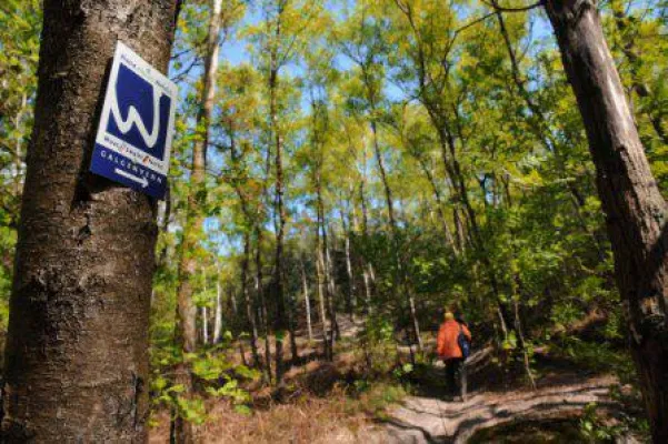 Bild: Auf Schusters Rappen rund um den Niederrhein: Wandern durch Heidemoor und Hohe Mark