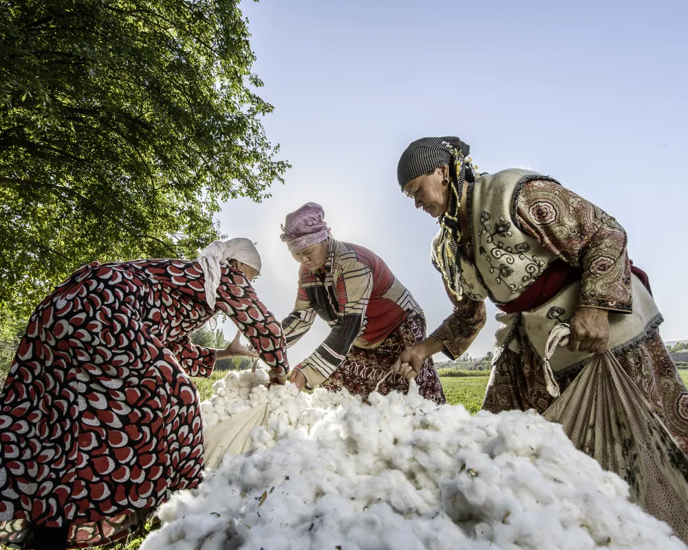 Sorgfalt beginnt bei der Baumwolle_Bio-Anbauprojekt von Cotonea in Kirgistan