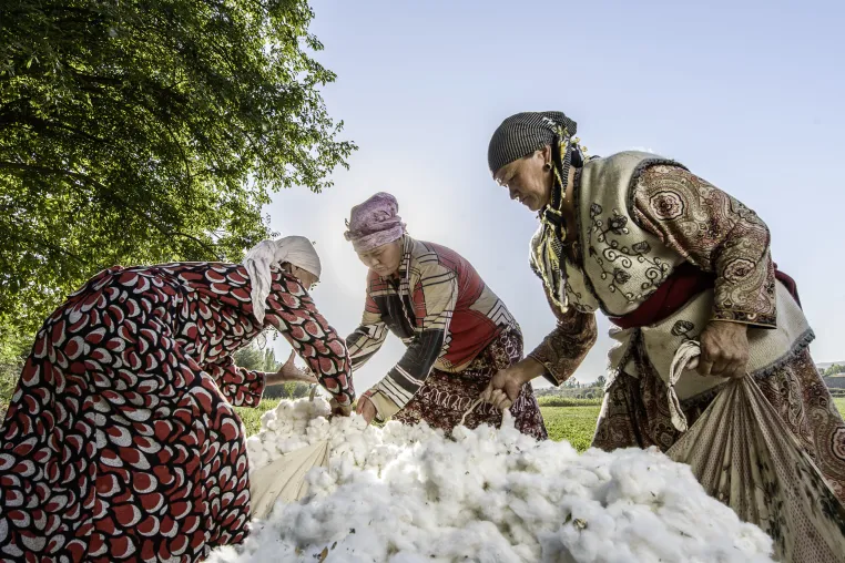 Bild: Cotonea berät bei Entwicklung der Plattform Textile Trust