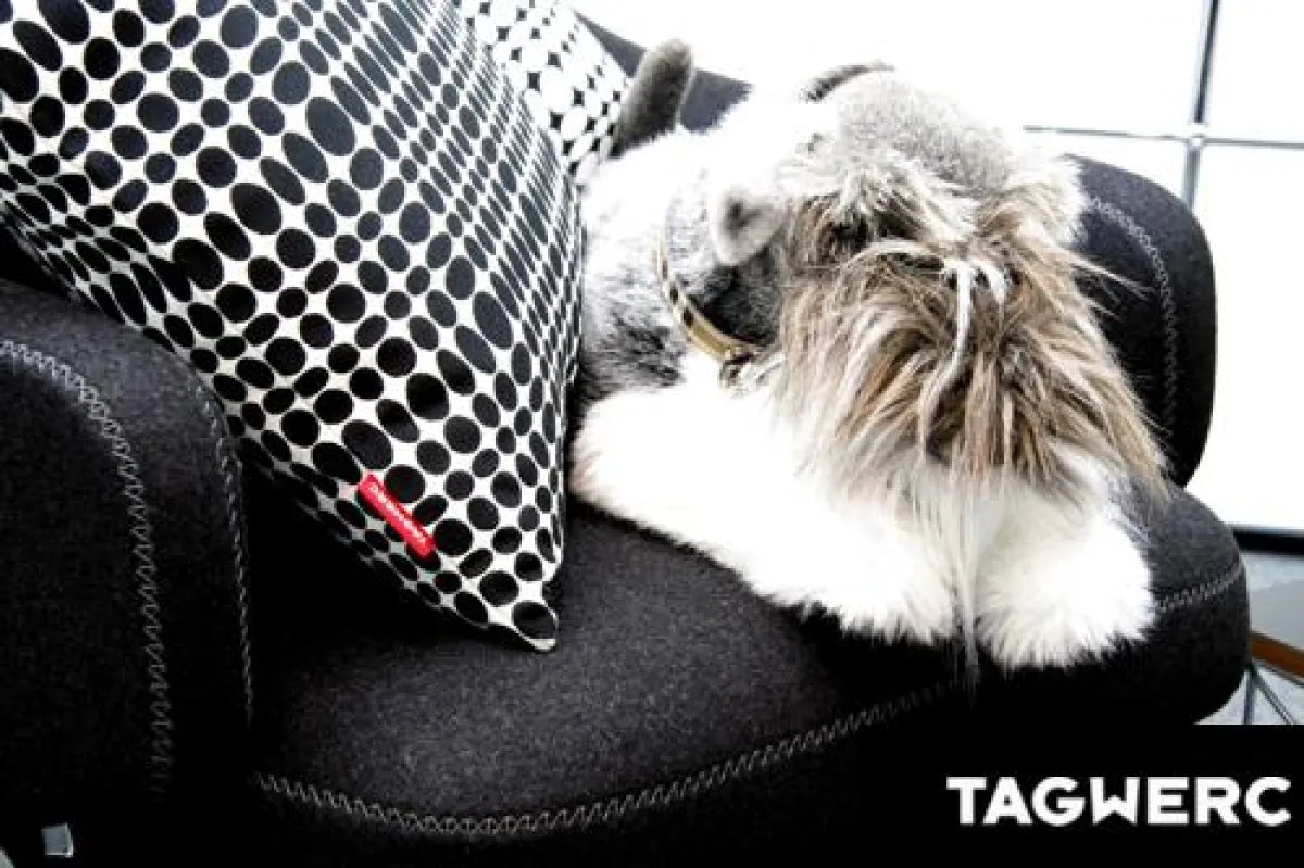 Geometrische Formen – einer der wichtigsten Interior Trends 2014. Foto: TAGWERC.com.