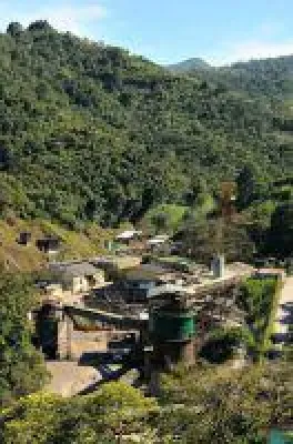 Bild: Ascendant stößt auf weitere signifikante hochgradige mineralisierte Abschnitte in seiner ‚El Mochito'