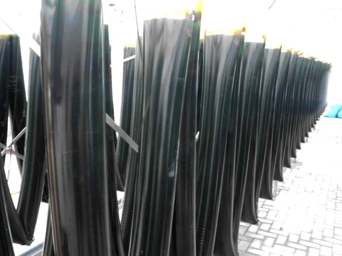 Algen stärken Gesundheit und Wohlbefinden