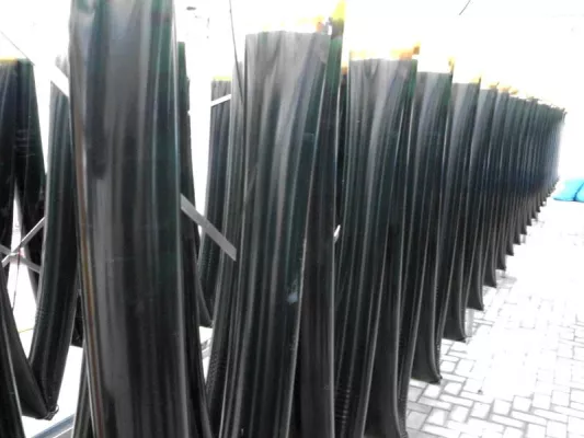 Bild: Algen mehr als Einzeller und Urpflanzen