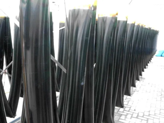 Algen mehr als Einzeller und Urpflanzen Bild: Algen mehr als Einzeller und Urpflanzen