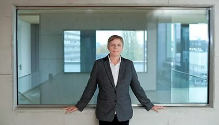 Bild: Büffel-Coaching für mehr Rückendeckung im Business