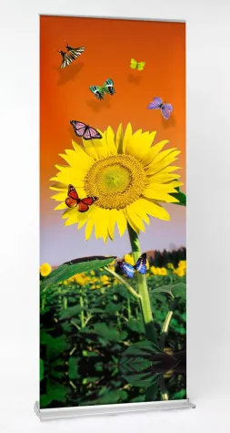 Bild: Gedruckt, nicht gestrichen