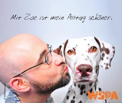 Bild: Fotowettbewerb – tierisch gute Bilder für den Tierschutz gesucht