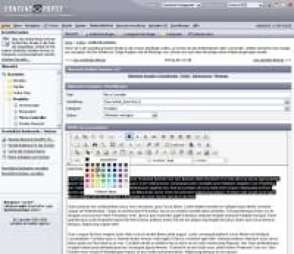 Bild: Arbeitserleichterungen für Webmaster mit CMS Contentpapst 2008.2