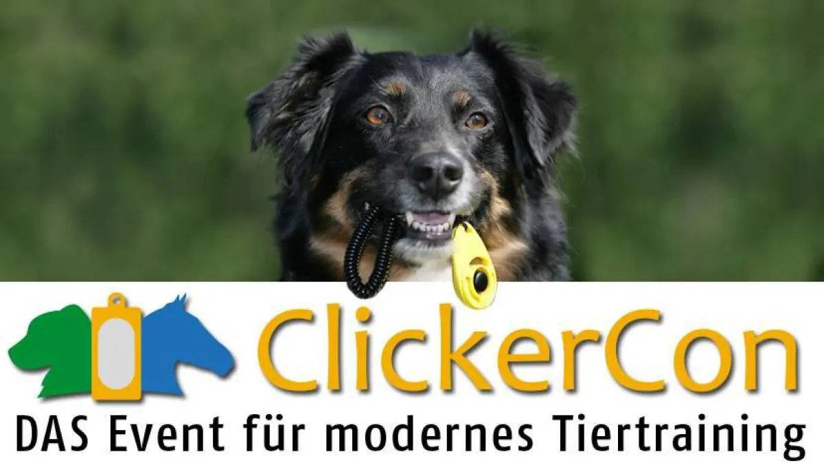 ClickerCon