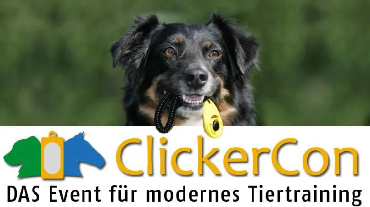Bild: ClickerCon - Modernes Tiertraining mit positiver Verstärkung