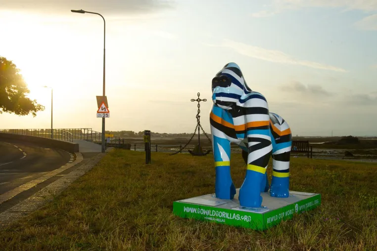 Bild: Bunte Gorilla-Skulpturen zum 60. Zoo-Jubiläum auf Jersey