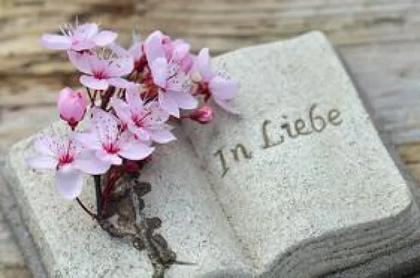 Waldbestattungen, Friedwald Bestattungen und Ruheforst im Hunsrück, Bestattungen und Schreinerei Oliver Adam Bild: Waldbestattungen, Friedwald Bestattungen und Ruheforst im Hunsrück, Bestattungen und Schreinerei Oliver Adam