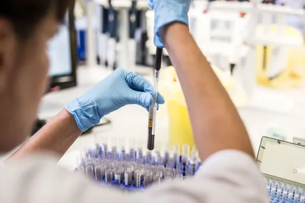 Bild: Digitale Vernetzung, menschliche Stärke: Estland verbindet Forschung, Praxis und Politik