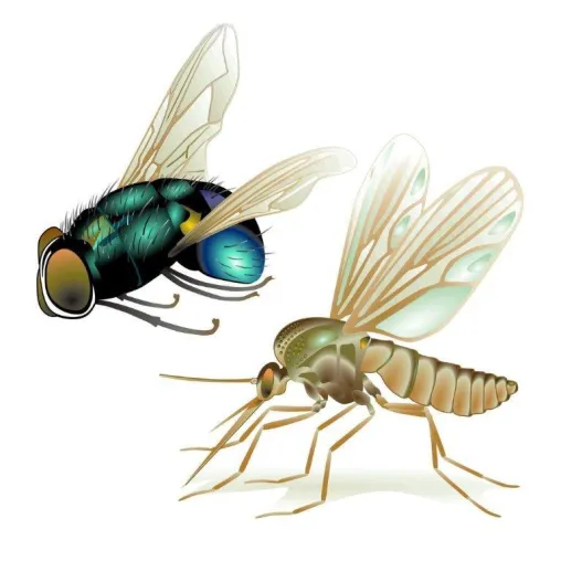 Bild: Nun fliegen sie wieder - Zuverlässige Insektenbekämpfung ganz ohne Gift