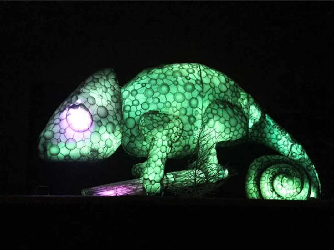 Eindrucksvoll illuminierte Tierfiguren sorgen bei den ?Zoo-Lights? für große Augen.