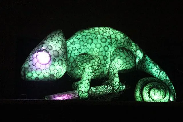 Phantastische „Zoo-Lights“ im Zoo Osnabrück Bild: Phantastische „Zoo-Lights“ im Zoo Osnabrück
